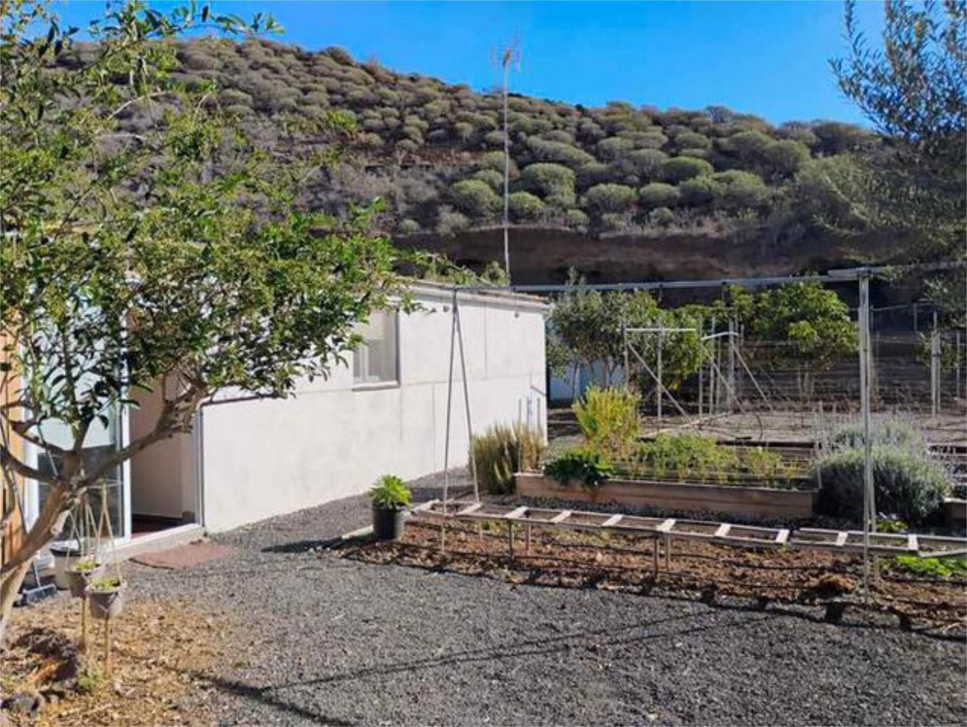 Garden of House or chalet for sale in Arona