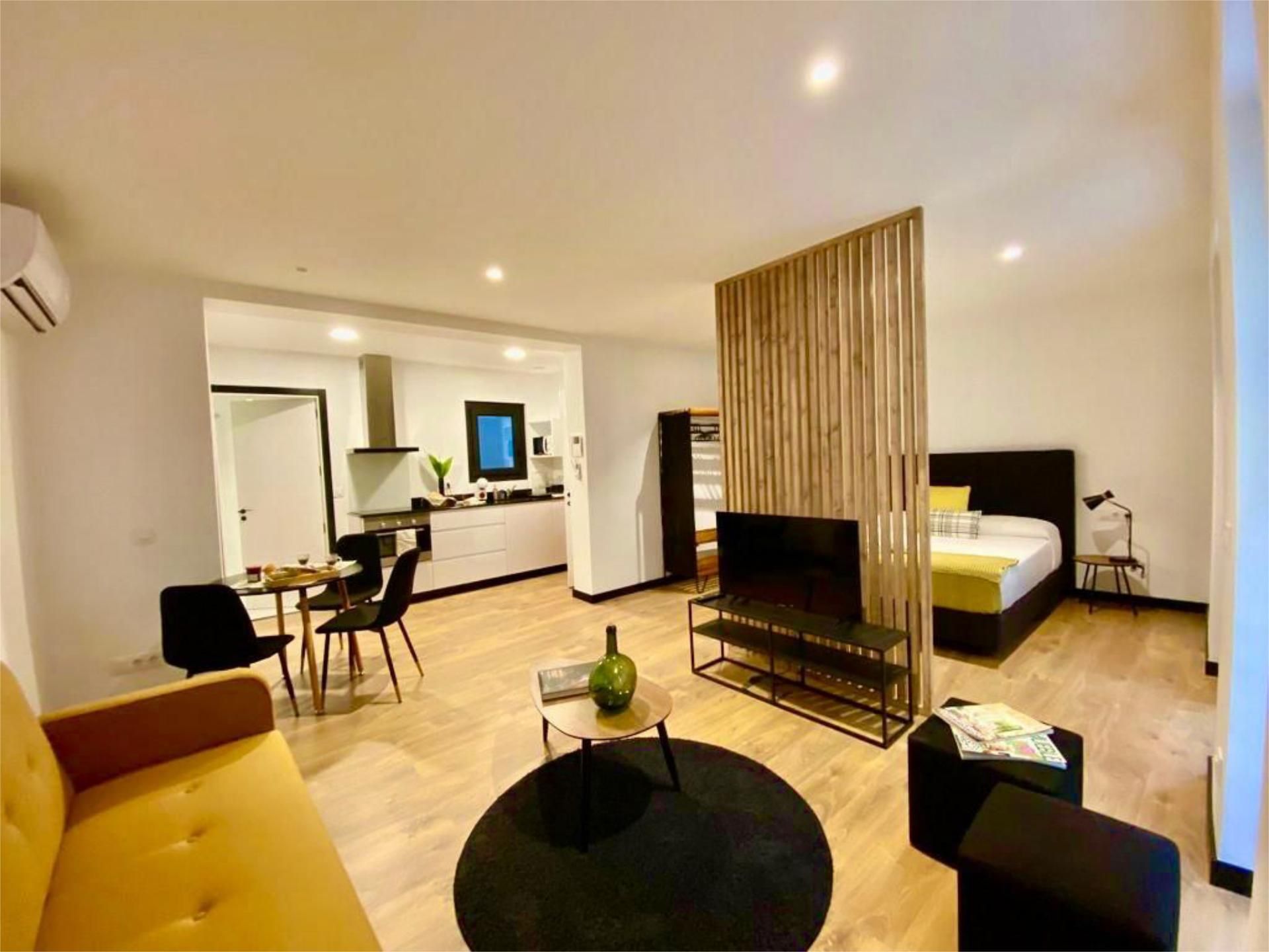 Living room of Apartment to rent in Figueres  with Air Conditioner, Heating and Furnished