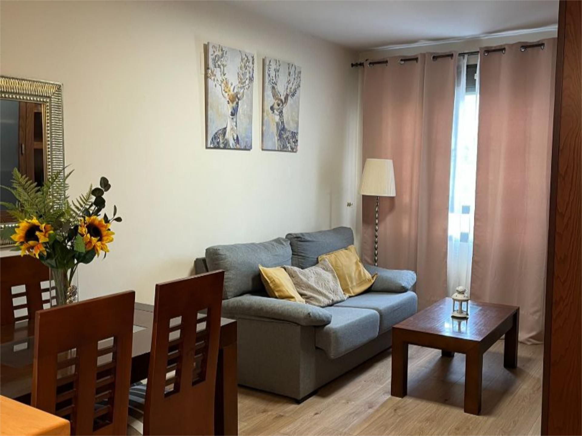 Sala d'estar de Pis de lloguer en  Madrid Capital amb Aire condicionat