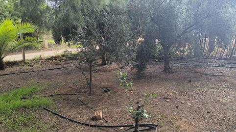 Finca rústica en venda a Calle Vasco de Gama, 21, La Aljorra, Murcia - imatge 3 Foto 3 de Finca rústica en venda a Calle Vasco de Gama, 21, La Aljorra, Murcia