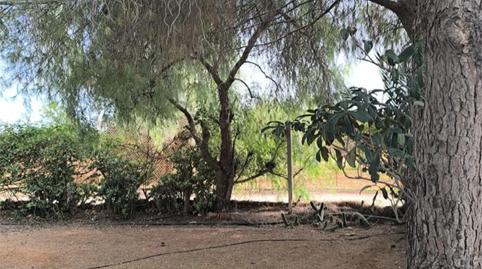 Finca rústica en venda a Calle Vasco de Gama, 21, La Aljorra, Murcia - imatge 5 Foto 5 de Finca rústica en venda a Calle Vasco de Gama, 21, La Aljorra, Murcia