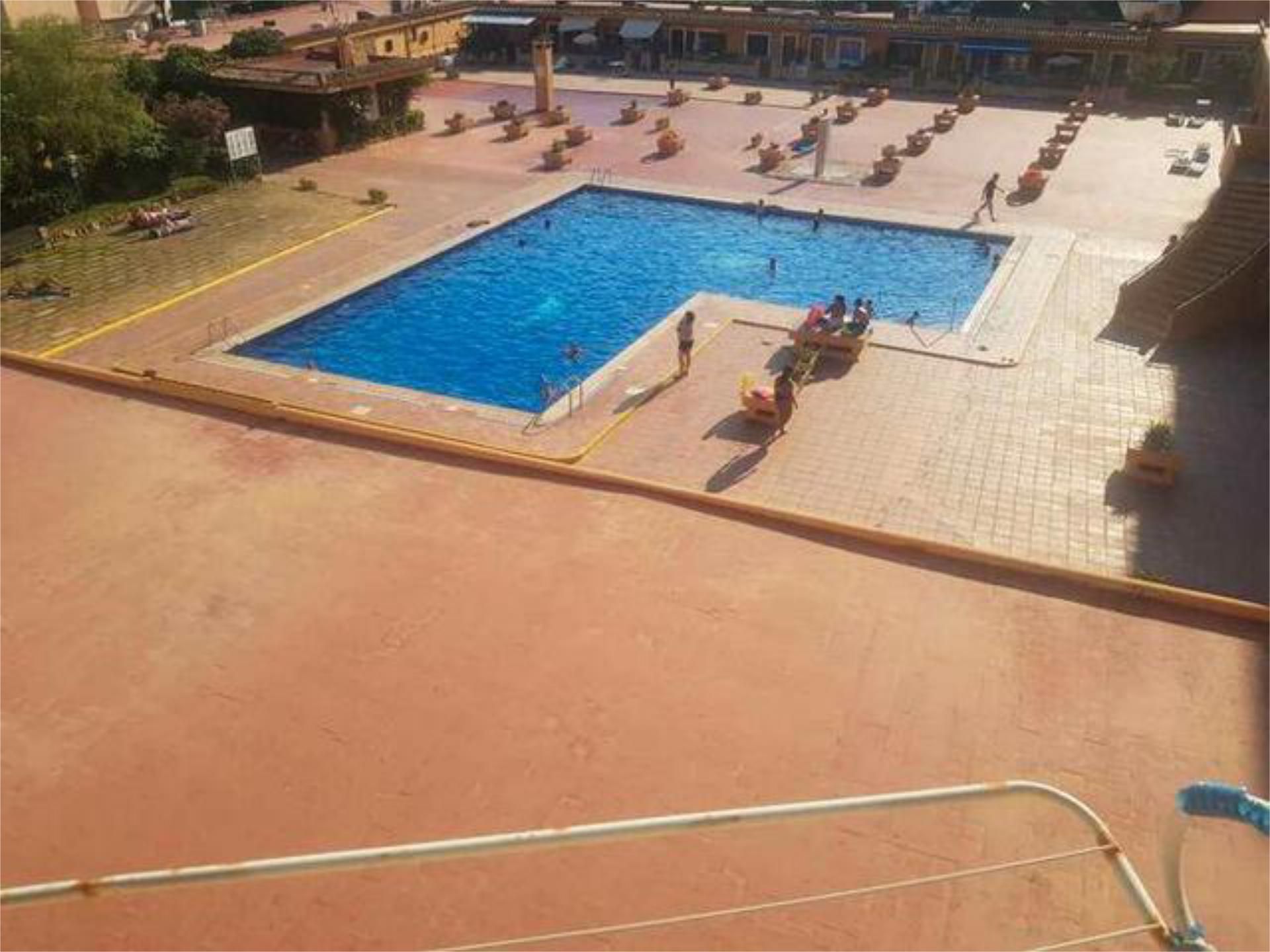 Swimming pool of Study to rent in Calvià  with Swimming Pool and Furnished