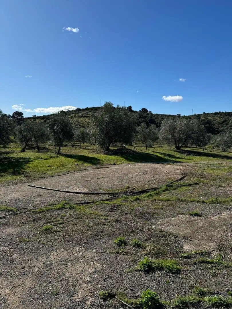 Terreno en venta en Adamuz