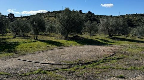Foto 5 von Grundstücke zum Verkauf in Calle de la Fuente, 1, Adamuz, Córdoba