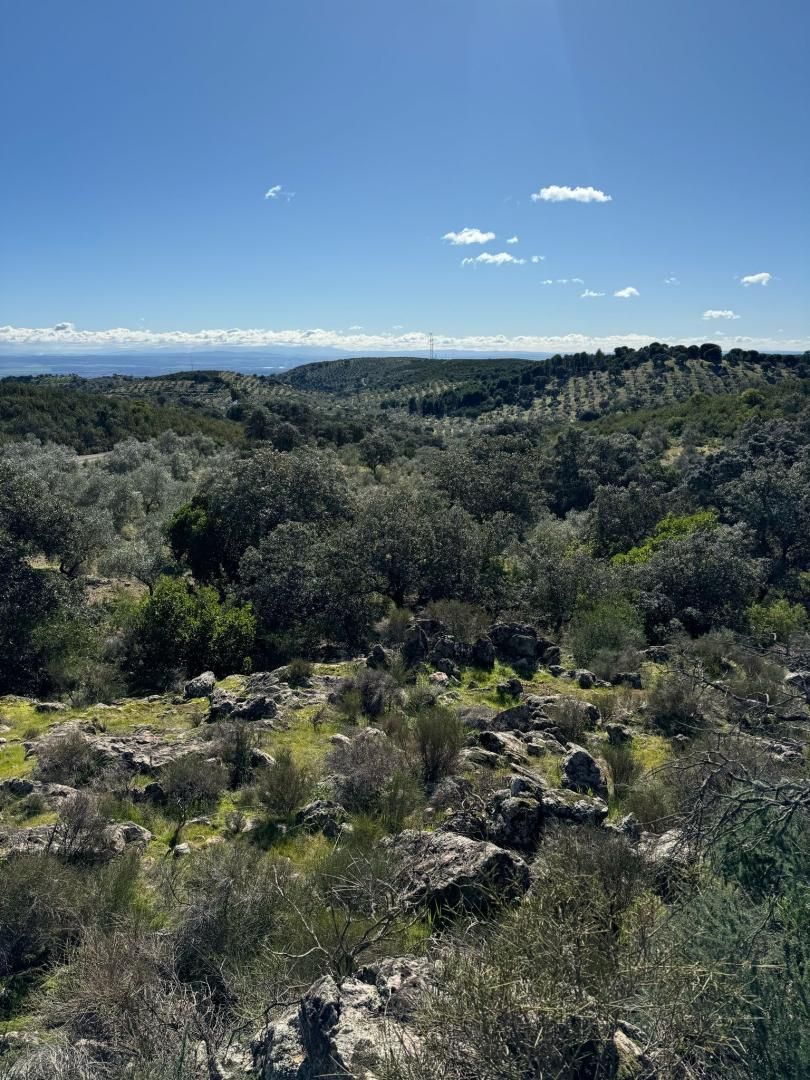 Terreno en venta en Adamuz