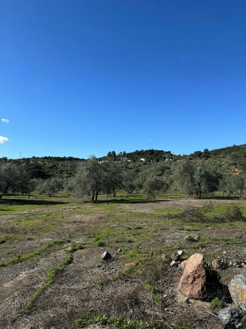 Terreno en venta en Adamuz