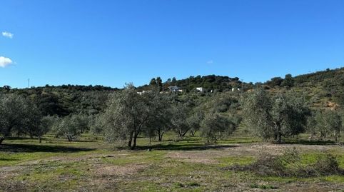 Foto 2 von Grundstücke zum Verkauf in Calle de la Fuente, 1, Adamuz, Córdoba