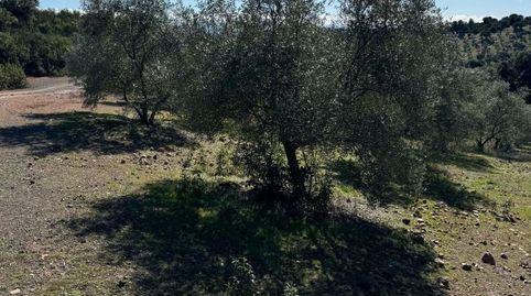 Foto 3 von Grundstücke zum Verkauf in Calle de la Fuente, 1, Adamuz, Córdoba