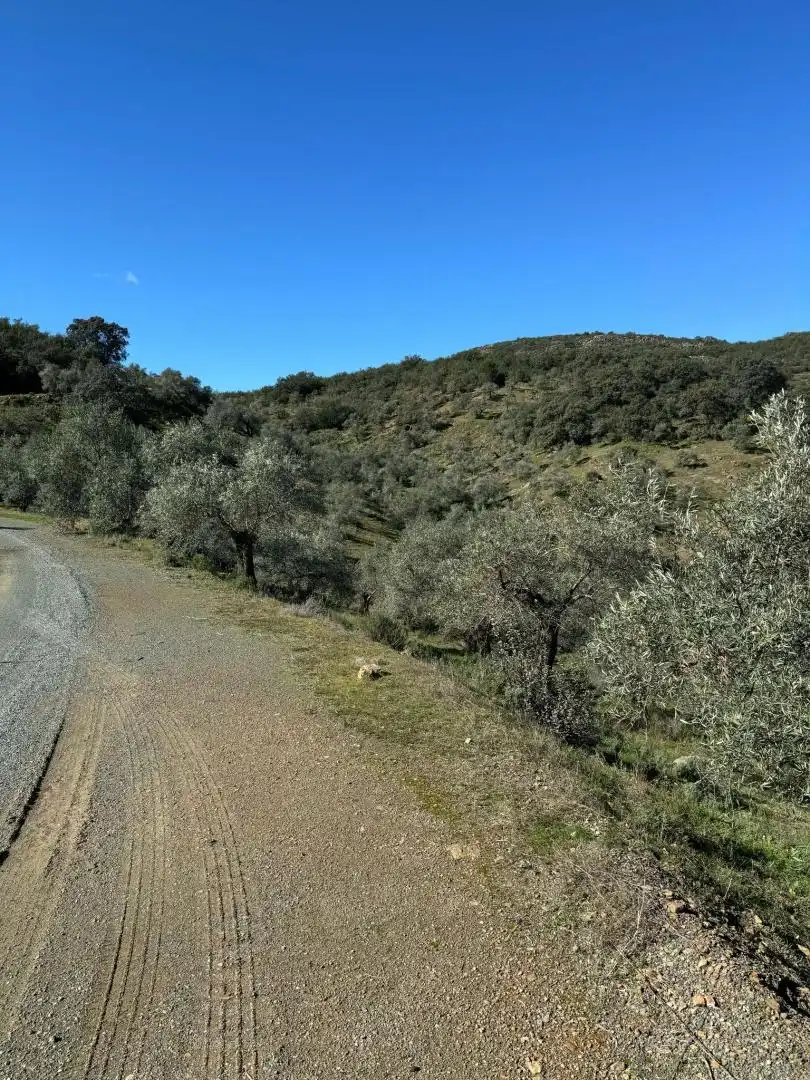 Terreno en venta en Adamuz