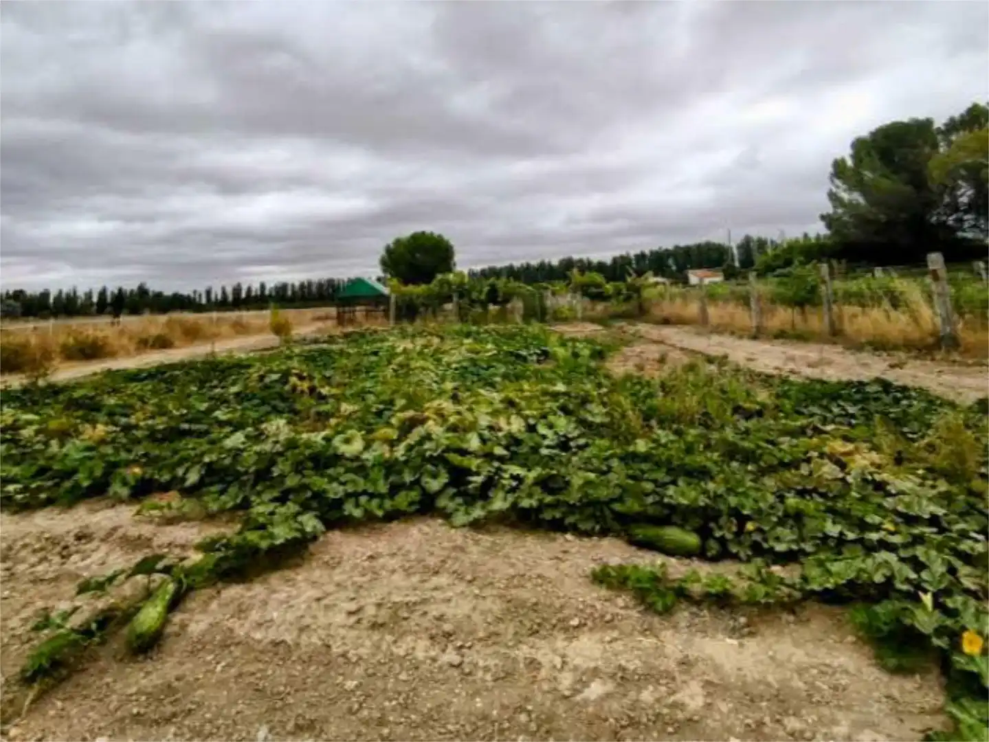Finca rústica en venta en Calle de Villabañez, Extrarradio Finca rústica en venta en Valladolid con Aire acondicionado, Calefacción y Jardín privado