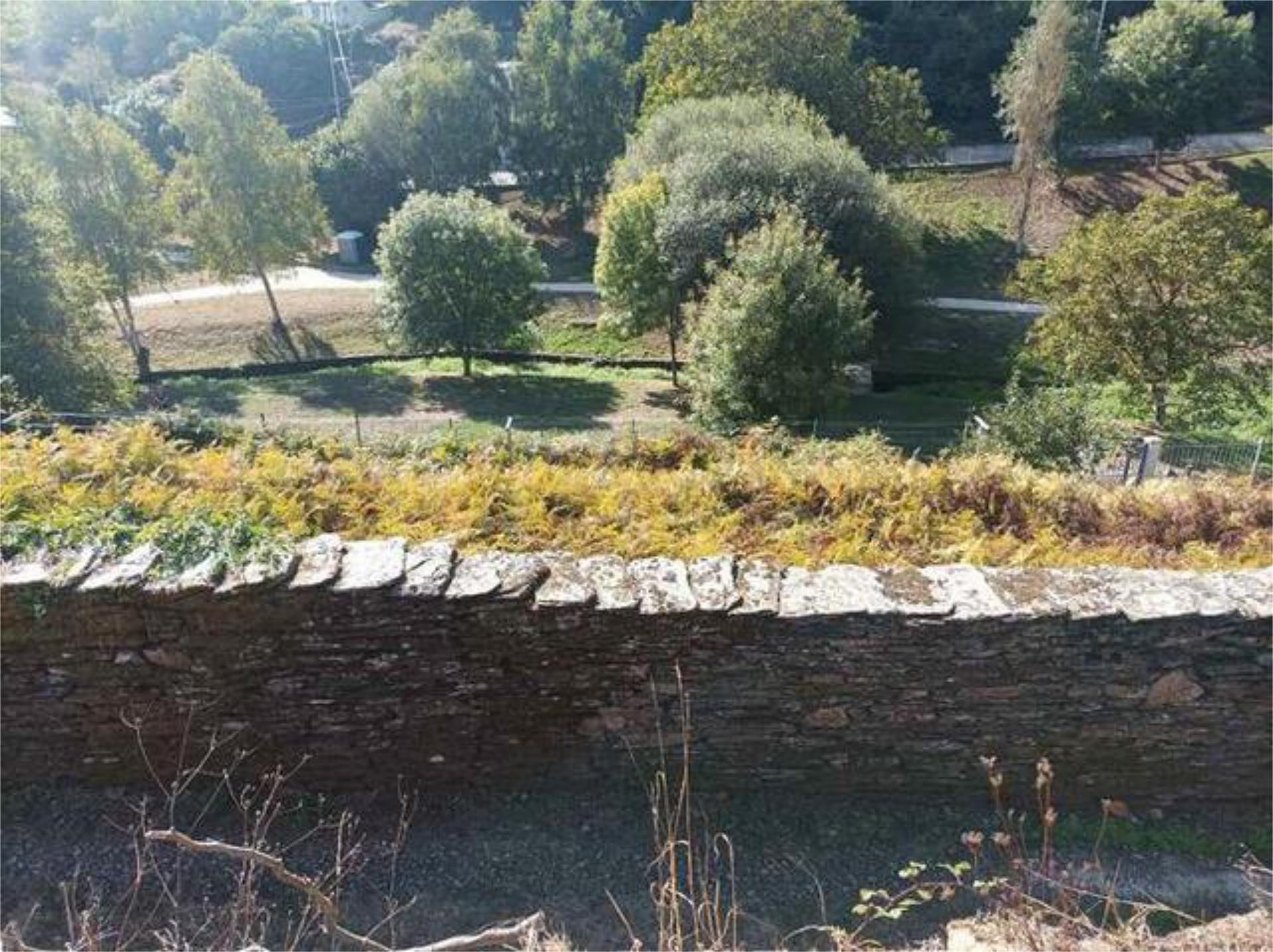 House or chalet for sale in Lugo Capital