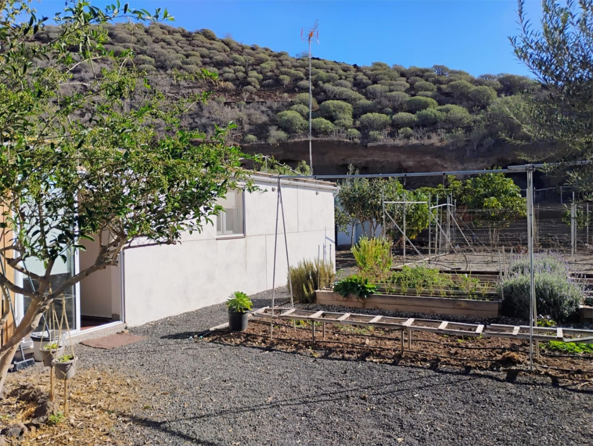 Garden of Planta baja for sale in Arona  with Terrace