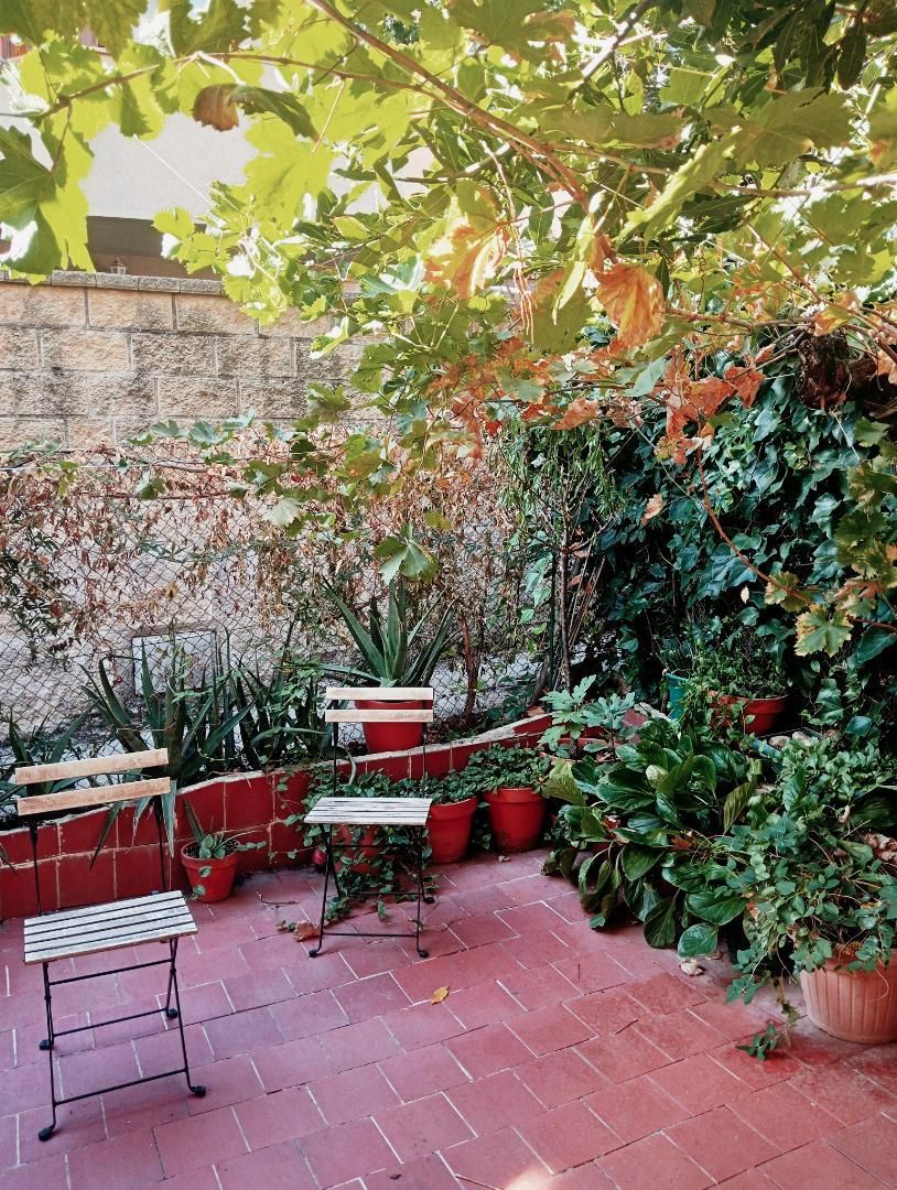 Garden of House or chalet for sale in El Molar (Madrid)  with Terrace and Swimming Pool