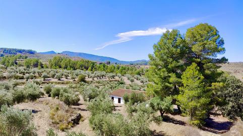 Foto 5 de Finca rústica en venda a Partida Petrosa, 10, Penàguila, Alicante