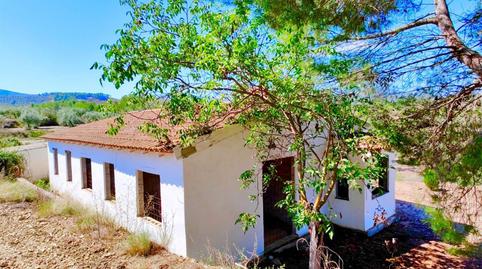 Foto 3 de Finca rústica en venda a Partida Petrosa, 10, Penàguila, Alicante