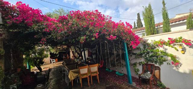 Casa-chalet en Alquiler en Calle de Ubaldo Capdepon, 8 en Ciudad Jardín