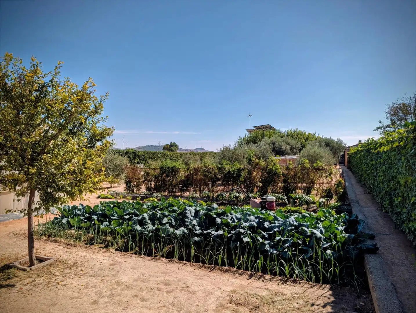 Finca rústica en venta en Avenida Zaragoza, Centro Jardín de Finca rústica en venta en Tudela con Jardín privado, Terraza y Piscina
