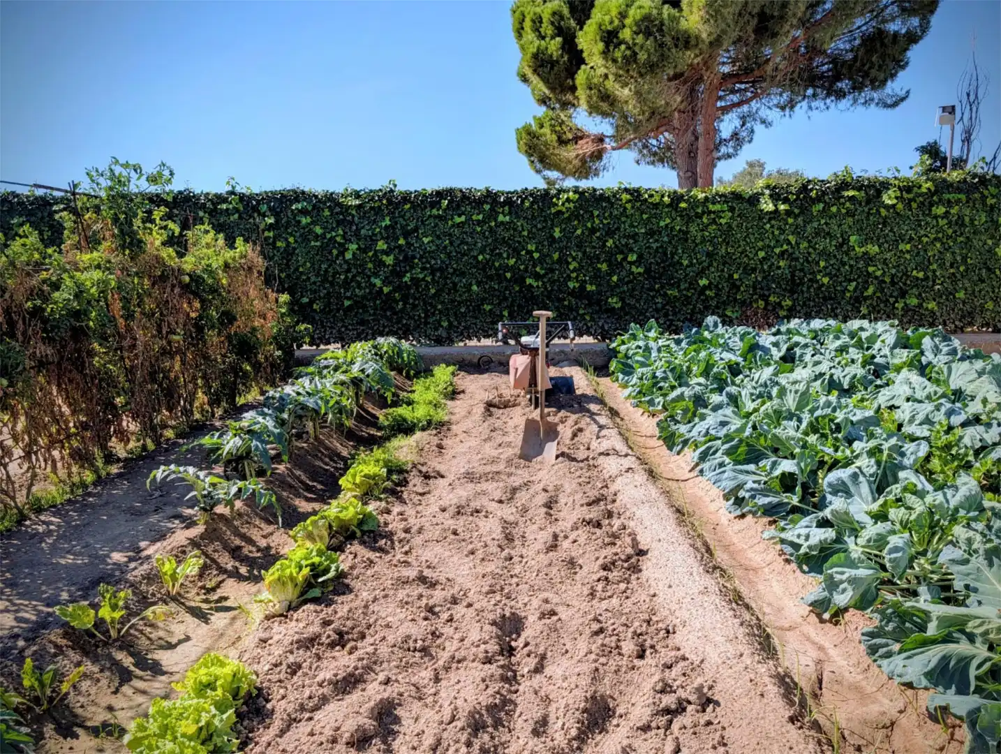 Finca rústica en venta en Avenida Zaragoza, Centro Jardín de Finca rústica en venta en Tudela con Jardín privado, Terraza y Piscina