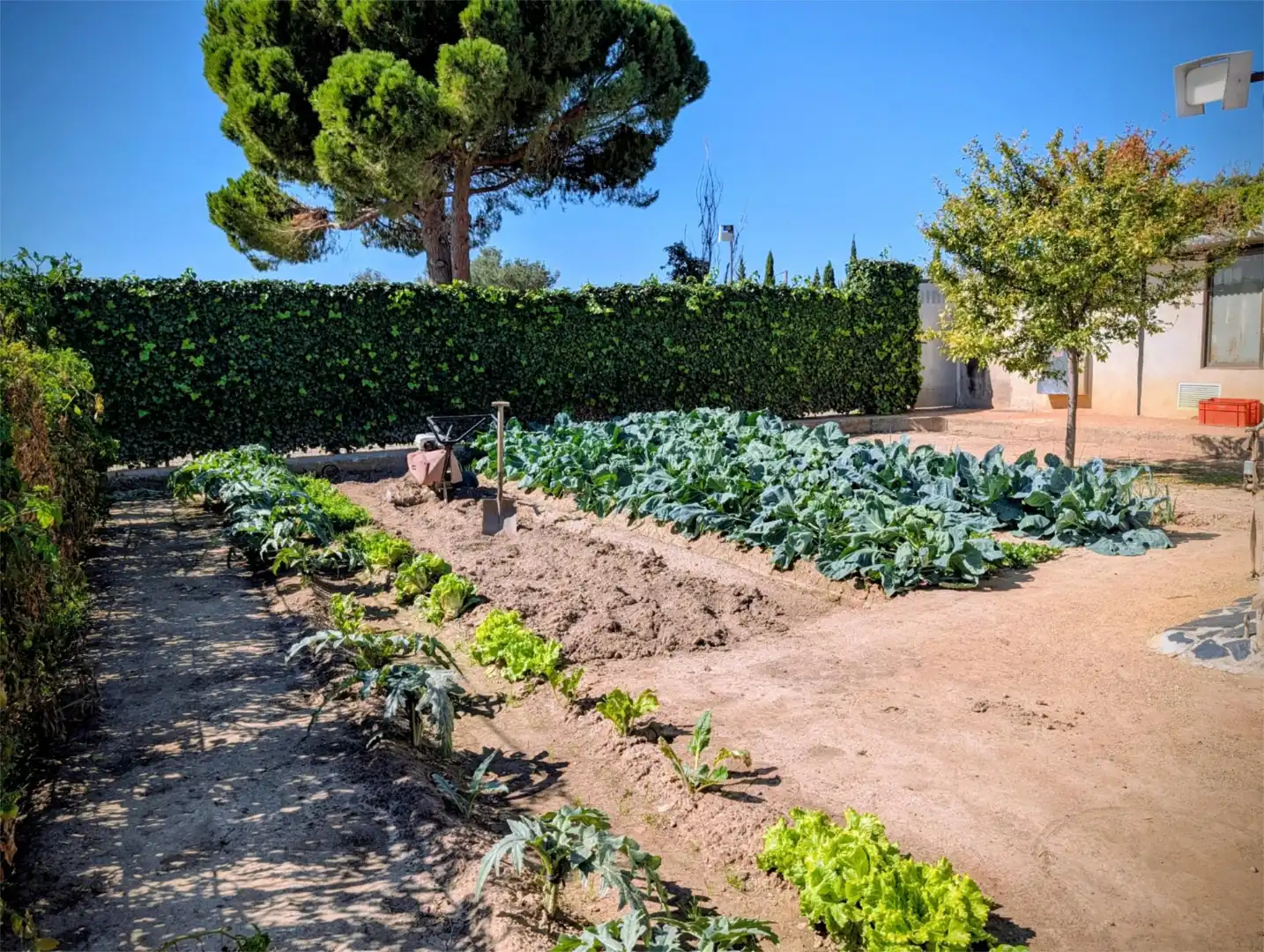 Finca rústica en venta en Avenida Zaragoza, Centro Jardín de Finca rústica en venta en Tudela con Jardín privado, Terraza y Piscina