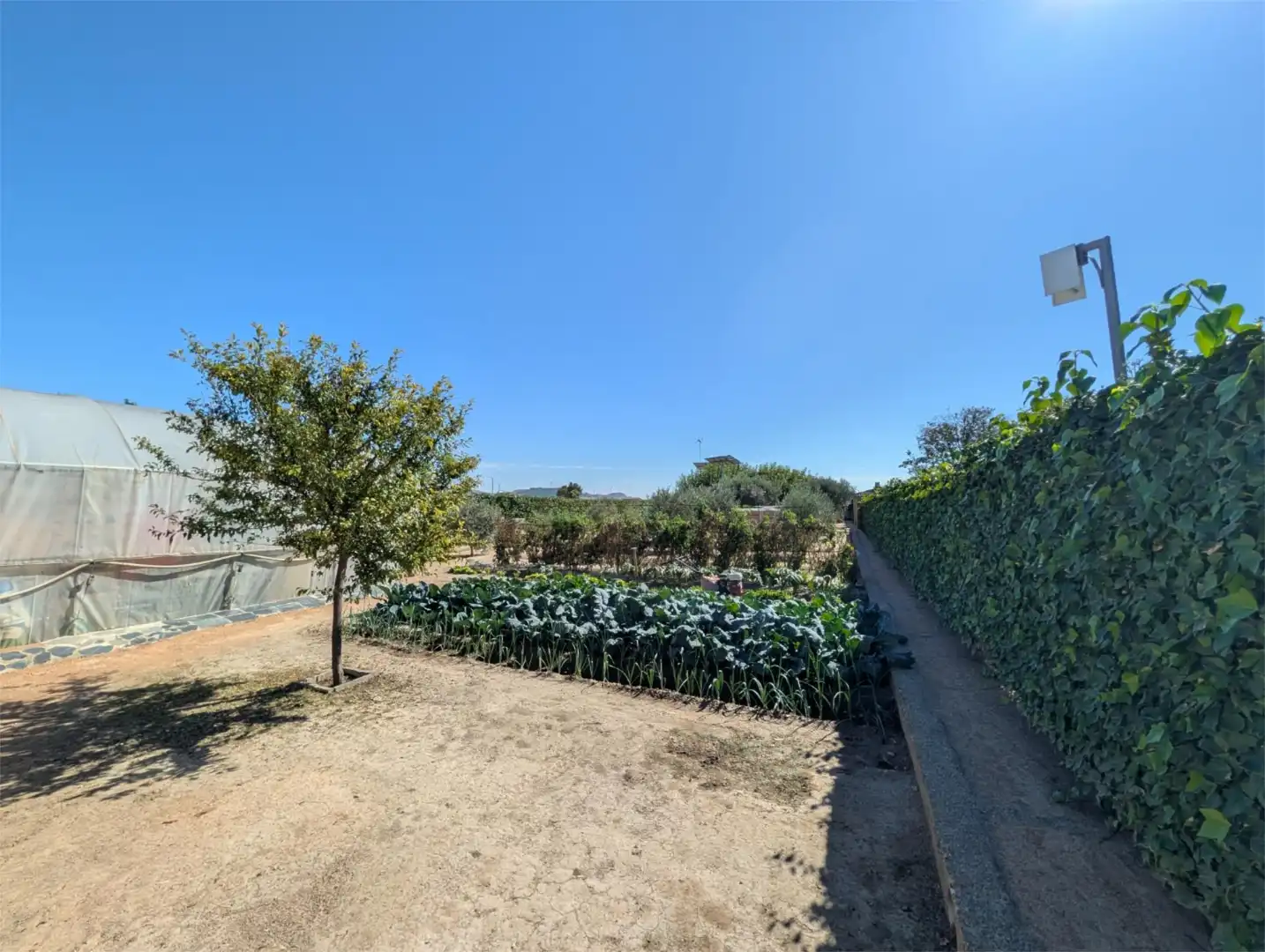 Finca rústica en venta en Avenida Zaragoza, Centro Jardín de Finca rústica en venta en Tudela con Jardín privado, Terraza y Piscina