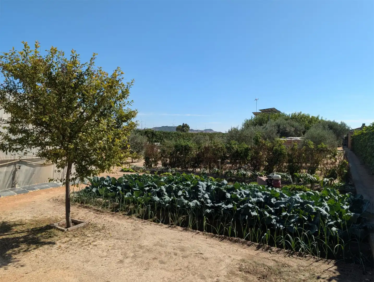 Finca rústica en venta en Avenida Zaragoza, Centro Jardín de Finca rústica en venta en Tudela con Jardín privado, Terraza y Piscina