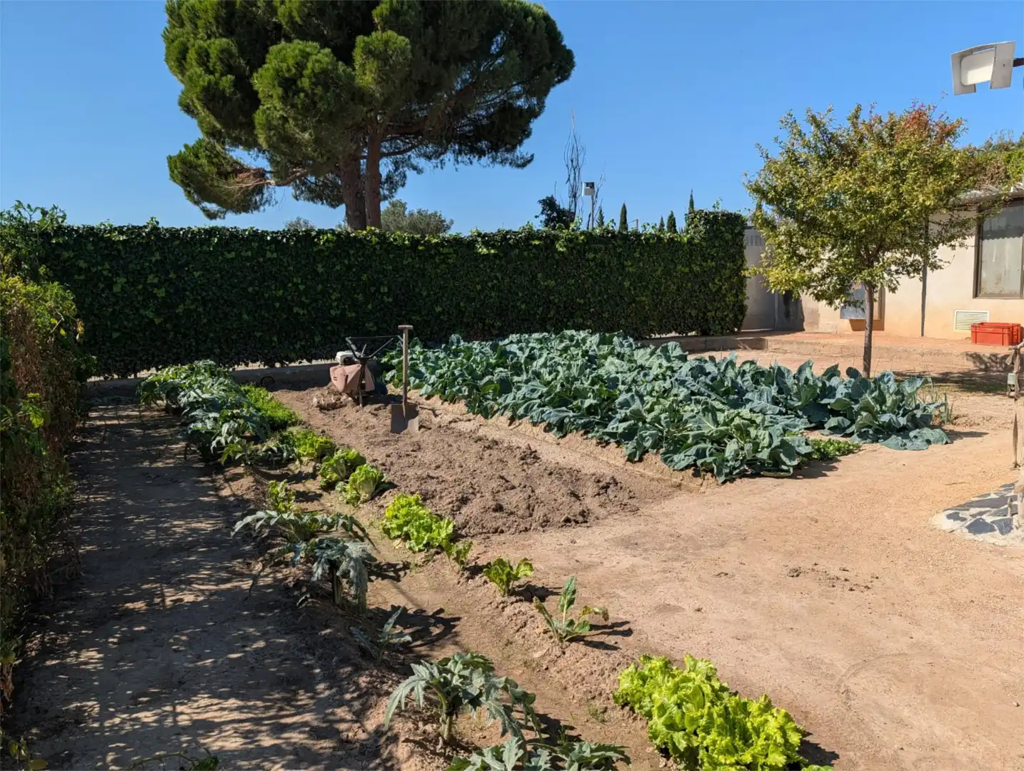 Finca rústica en venta en Avenida Zaragoza, Centro Jardín de Finca rústica en venta en Tudela con Jardín privado, Terraza y Piscina