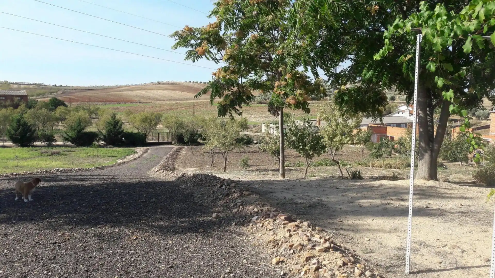 Land for sale in Vial Camino, San Martín de Pusa Land for sale in San Martín de Pusa