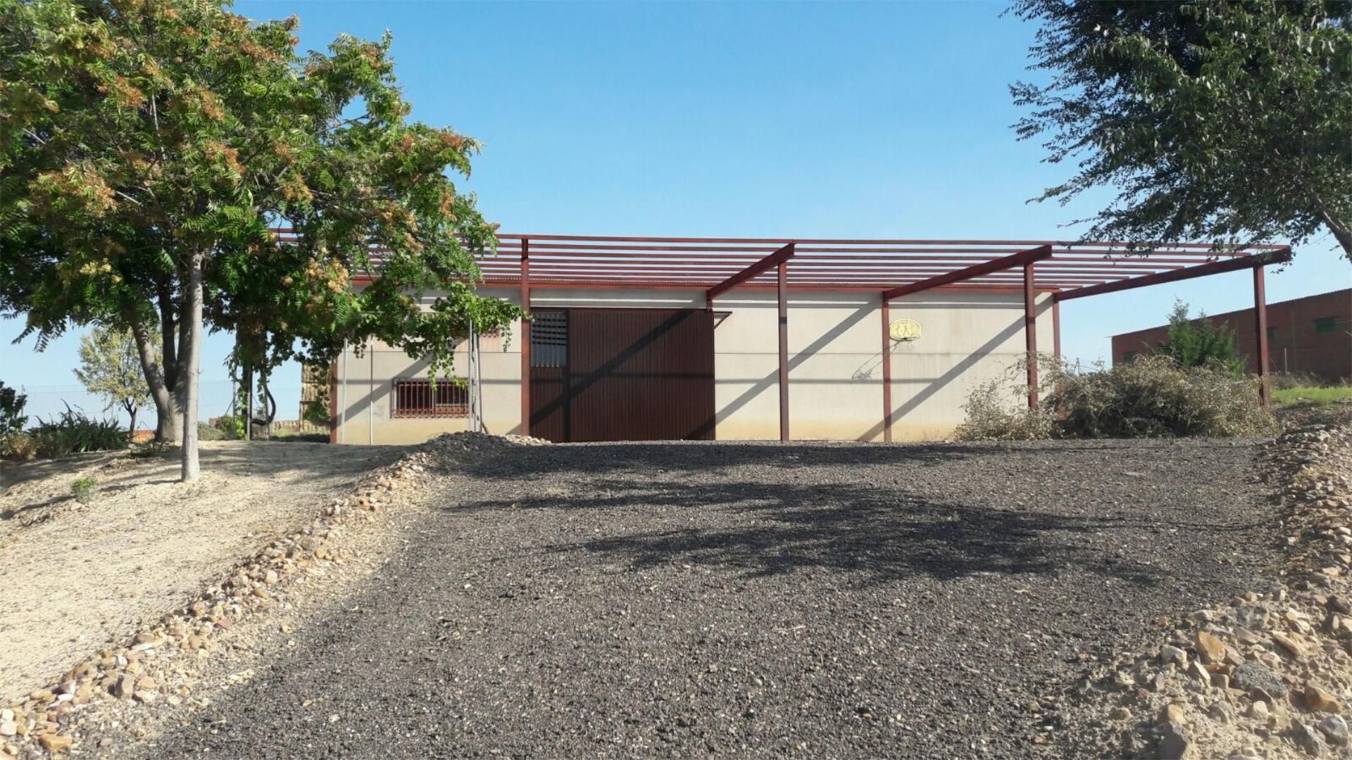 Vista exterior de Terreno en venta en San Martín de Pusa