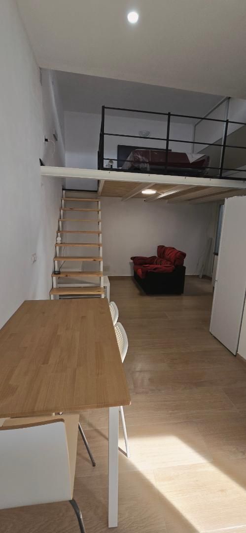Loft to rent in San Roque  with Parquet flooring, Terrace and Furnished