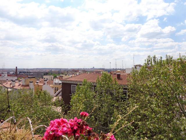 Piso en Alquiler en Calle de Fray Ceferino González, 17 en Embajadores - Lavapiés