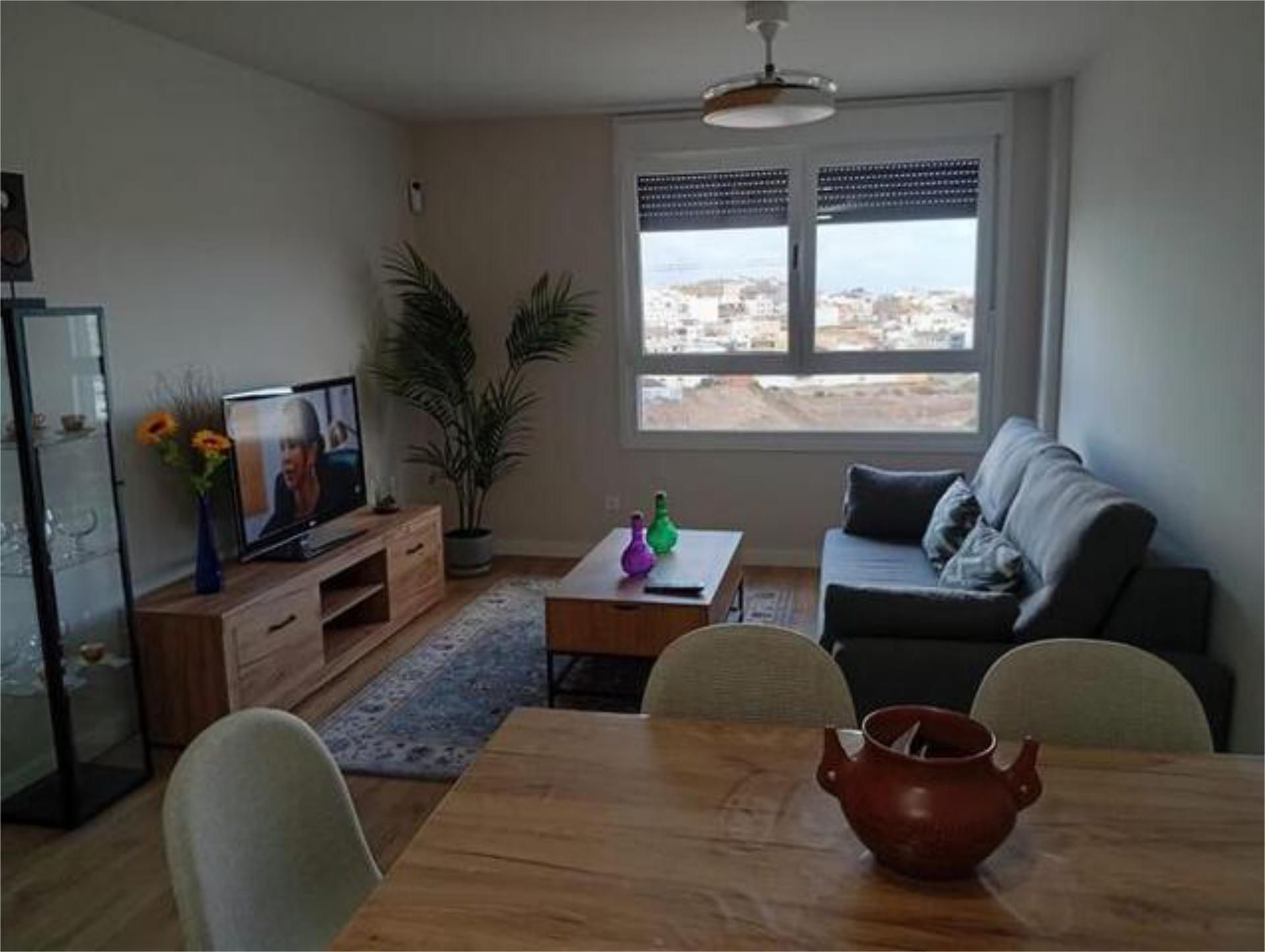 Living room of Flat to rent in Las Palmas de Gran Canaria  with Furnished
