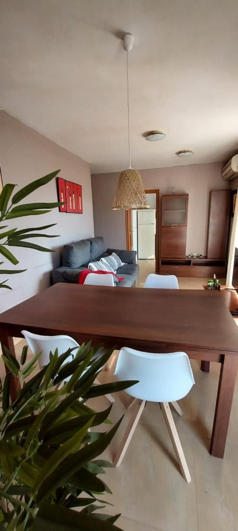 Sala d'estar de Pis de lloguer en Castellón de la Plana / Castelló de la Plana amb Traster, Moblat i Rentadora