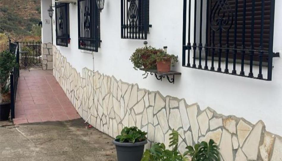 Foto 1 de Finca rústica de alquiler en Canillas de Aceituno, Málaga