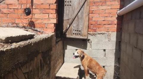 Photo 3 of House or chalet for sale in Calle Marianeto, 5b, La Puebla de Valverde, Teruel