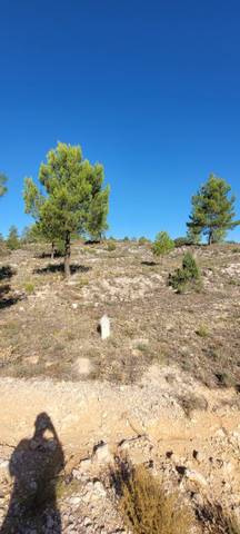 Terreno en Venta en A-45, 46 en Nerpio