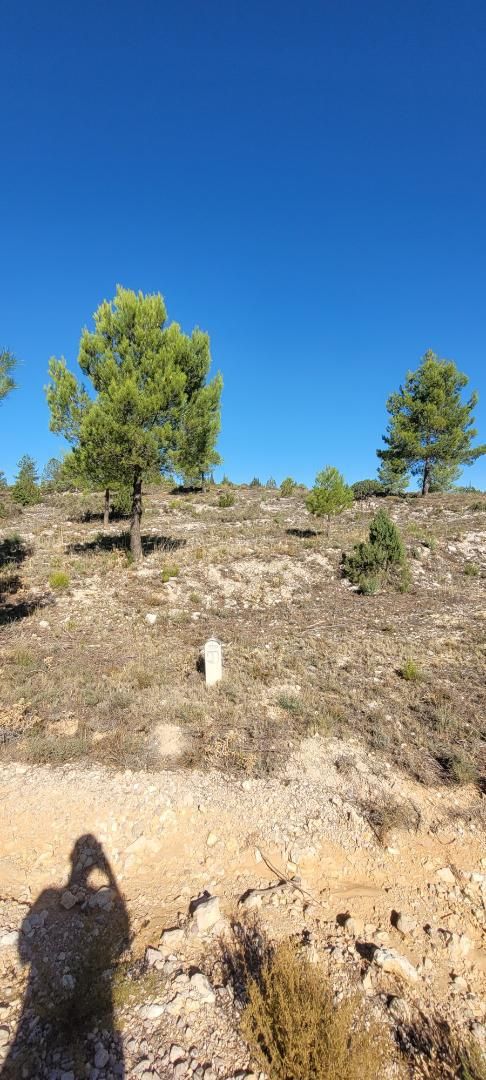 Grundstücke zum verkauf in Nerpio