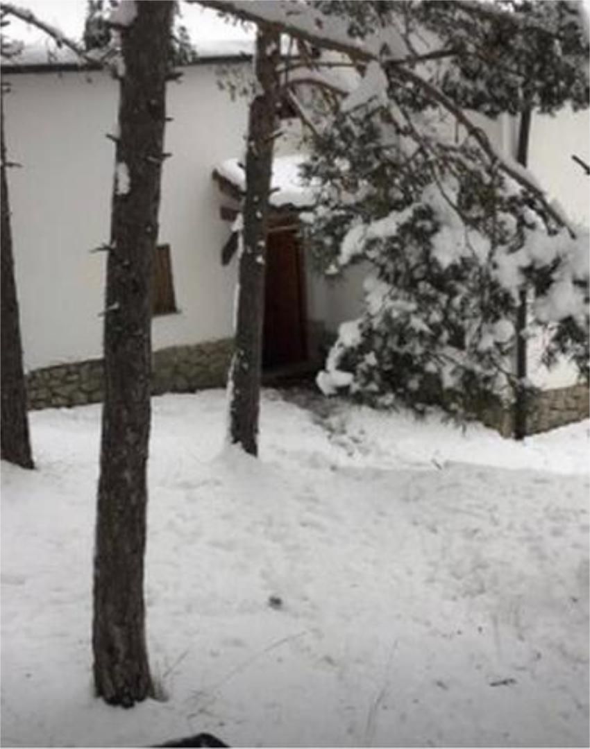 Garden of House or chalet to rent in Alcalá de la Selva