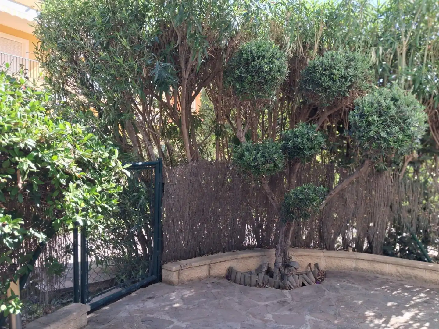 Jardí de Apartament de lloguer en Calpe / Calp amb Calefacció, Jardí privat i Piscina