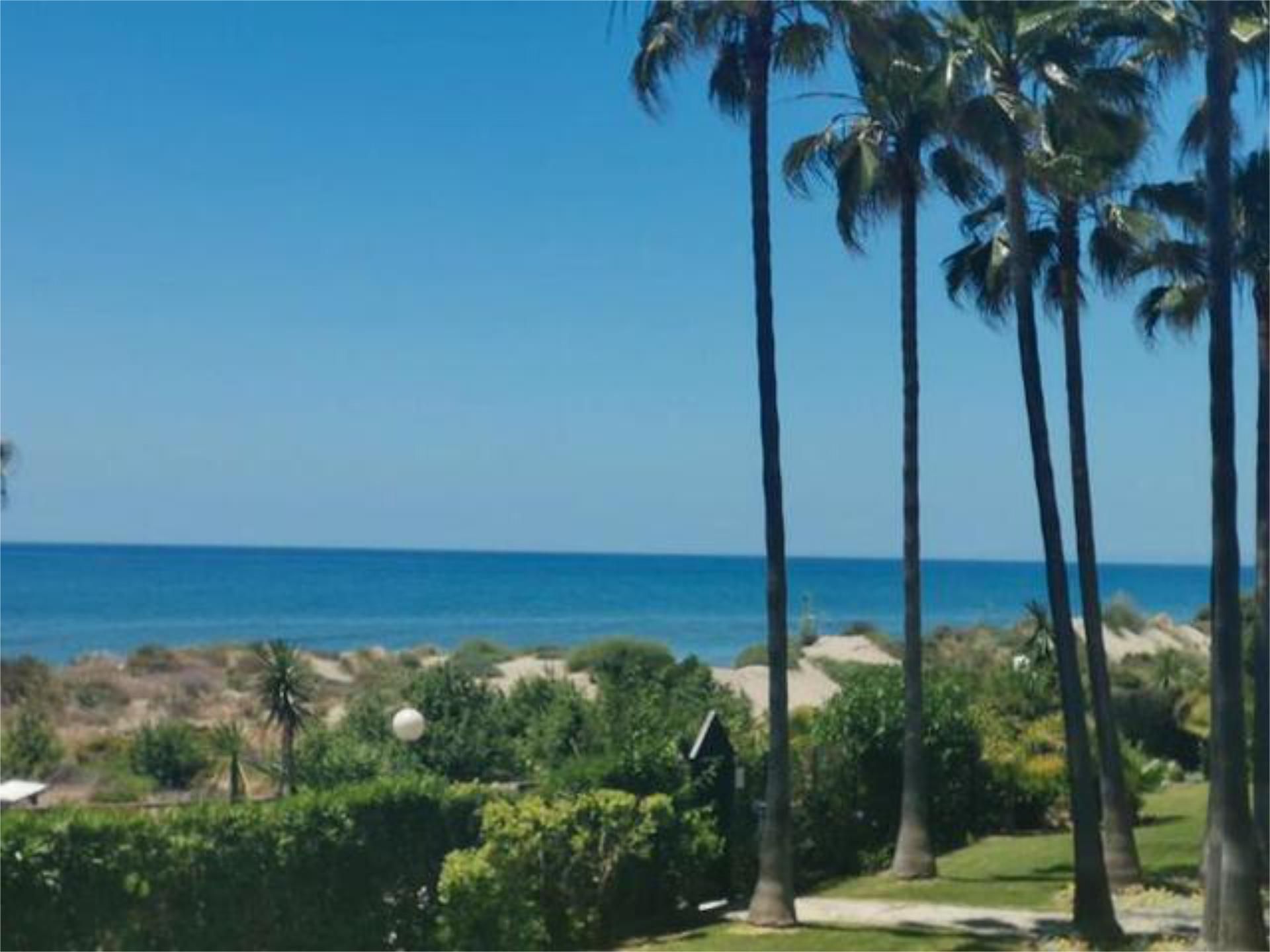 Vista exterior de Apartamento de alquiler en Marbella con Calefacción, Jardín privado y Terraza