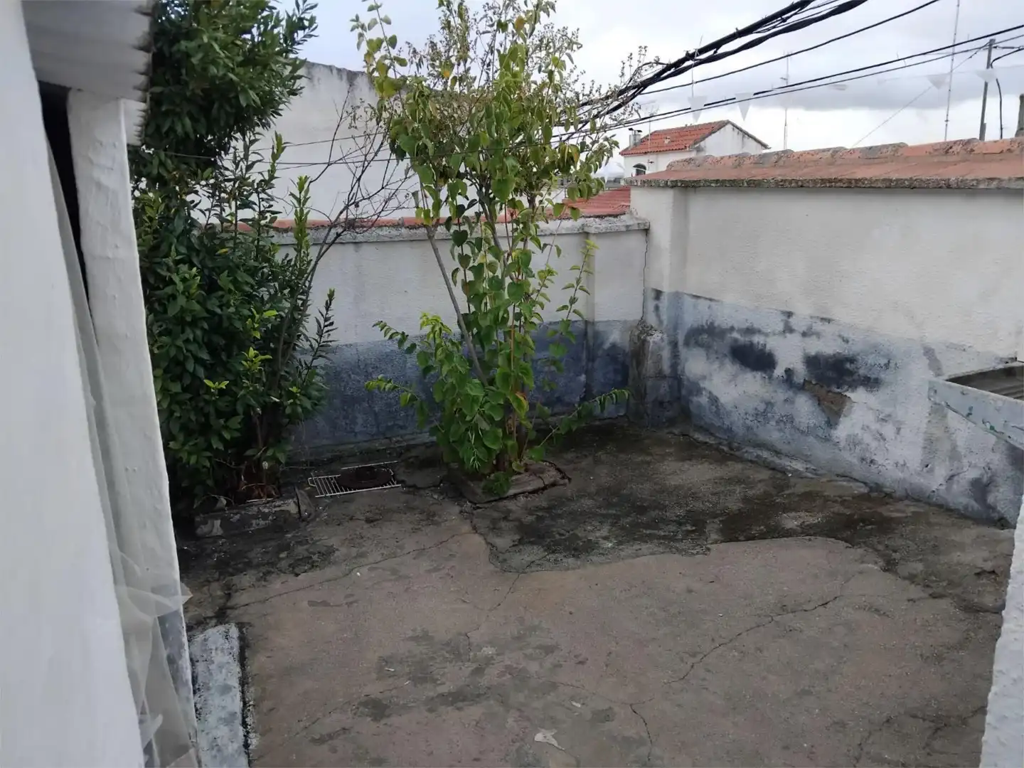 Jardín de Piso en venta en Cebolla con Aire acondicionado