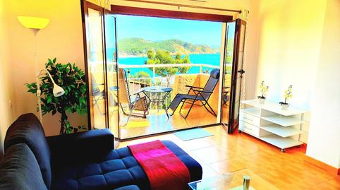 Apartment to rent in Carrer Espiga, 9, Peguera, Illes Balears - image 3 Photo 3 of Apartment to rent in Carrer Espiga, 9, Peguera, Illes Balears