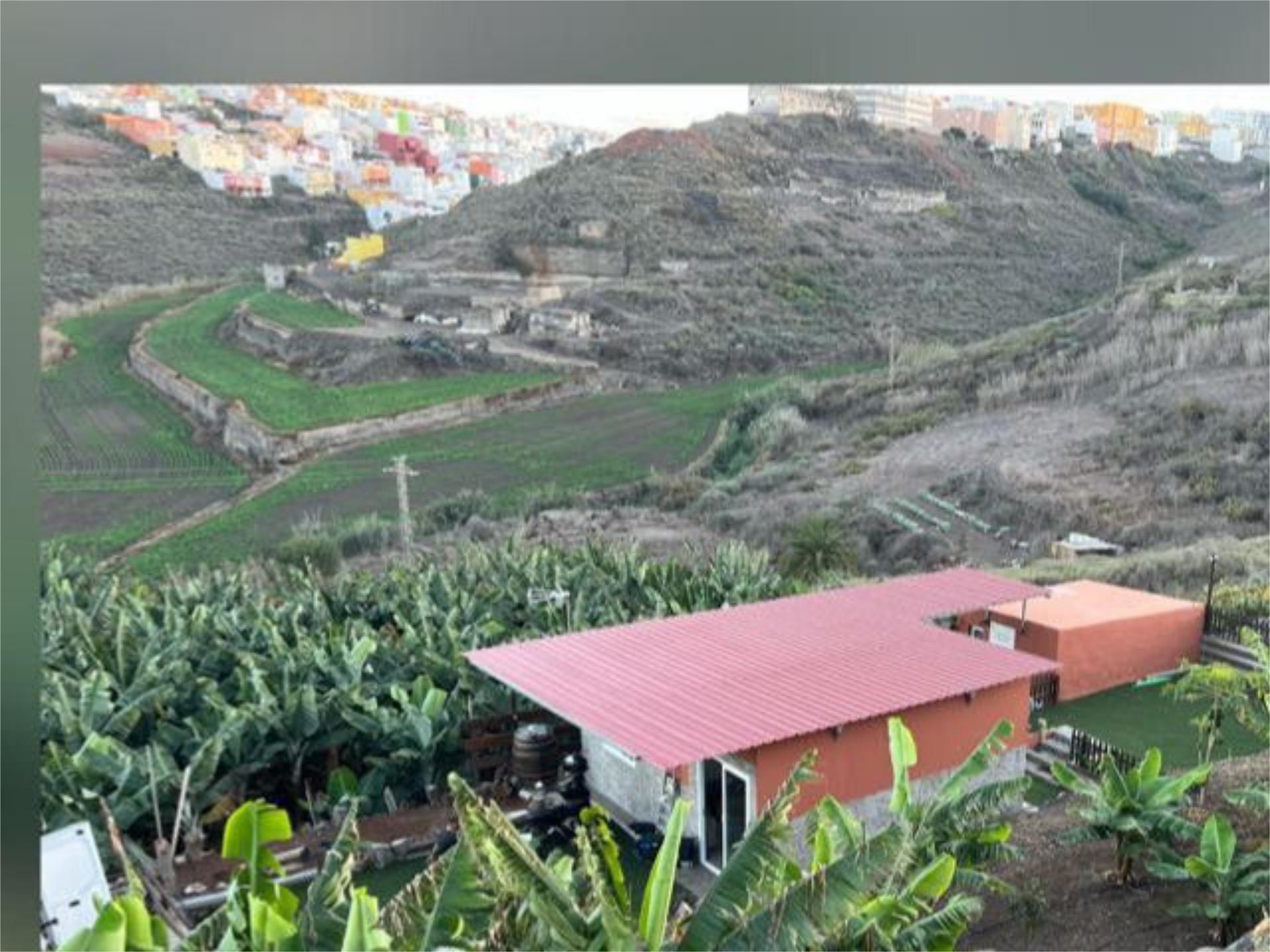 Exterior view of Country house to rent in Arucas  with Private garden, Terrace and Furnished