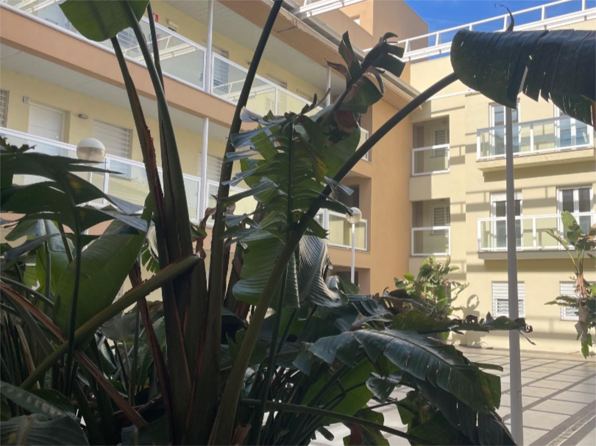 Exterior view of Flat to rent in Écija  with Air Conditioner, Heating and Furnished