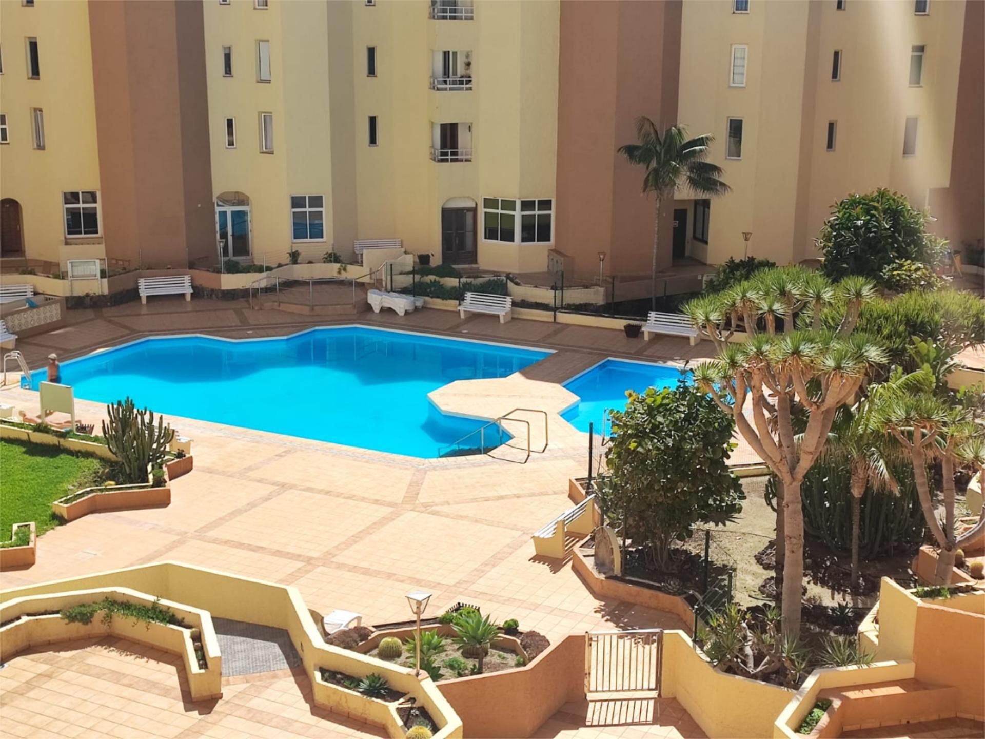 Swimming pool of Flat to rent in Los Silos  with Parquet flooring, Terrace and Swimming Pool