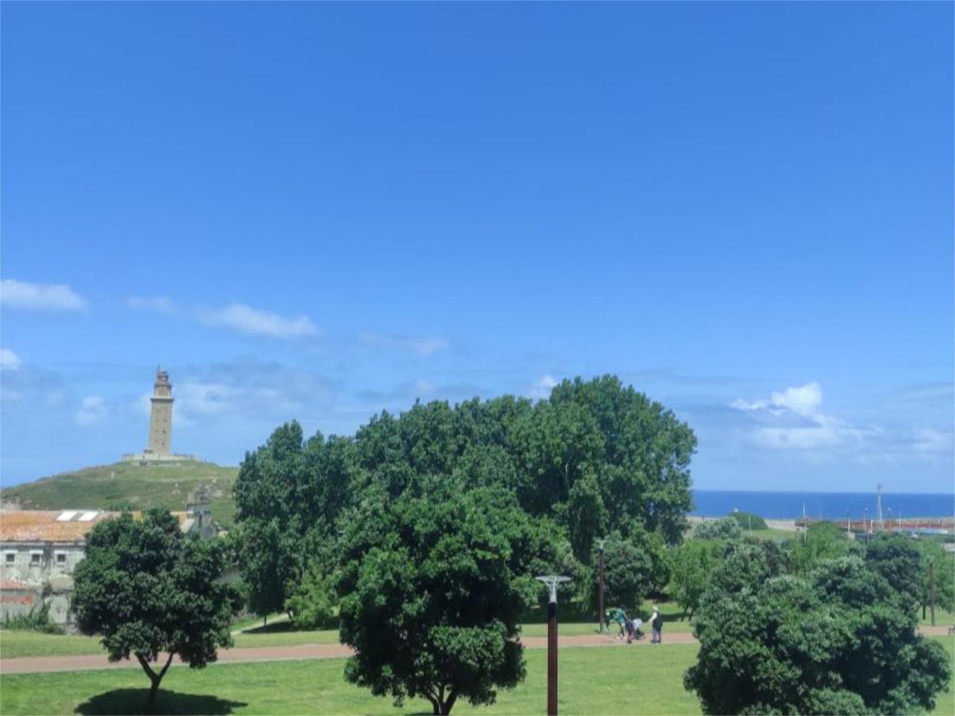 Flat to rent in Ronda de Monte Alto, 24, Monte Alto - Zalaeta - Atocha