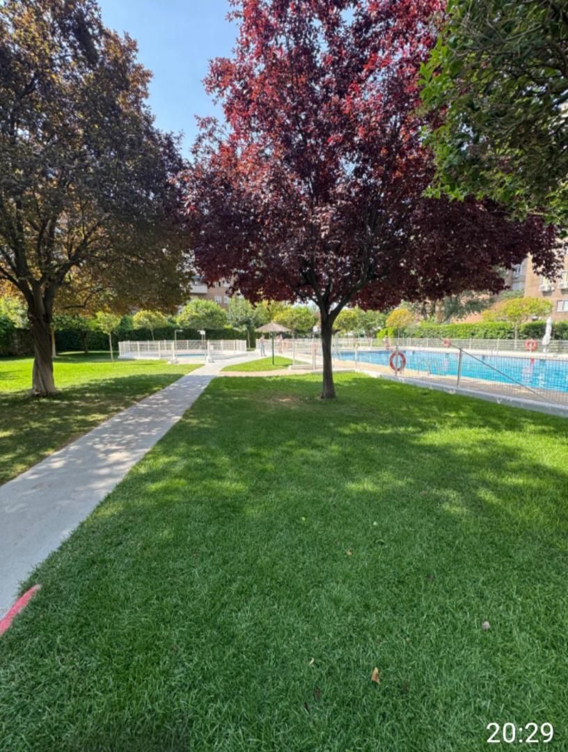 Pis en venda a Calle Veredilla, 15, Veredillas Piscina de Pis en venda en Torrejón de Ardoz amb Piscina