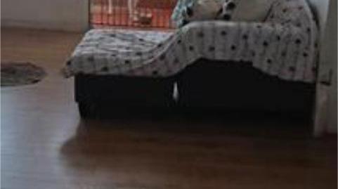 Flat for sale in Jinamar, Las Palmas - image 4 Photo 4 of Flat for sale in Jinamar, Las Palmas