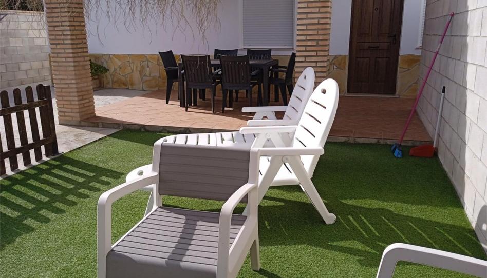 Photo 1 of House or chalet to rent in Carril de Los Sánchez, S/n, El Palmar, Cádiz