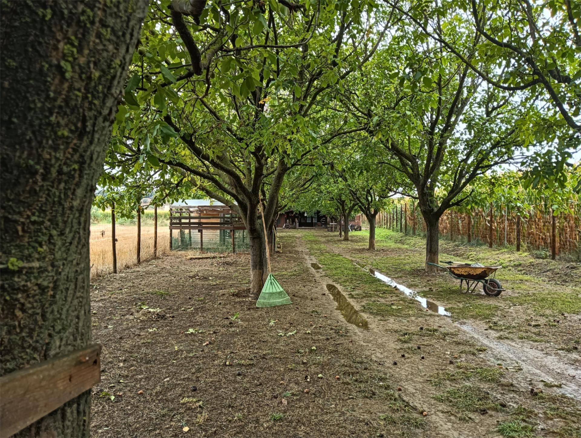 Country house for sale in Monflorite-Lascasas  with Private garden