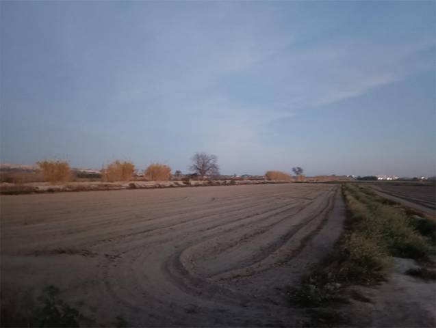 Terreno en Venta en CV-859, 7 en San Fulgencio